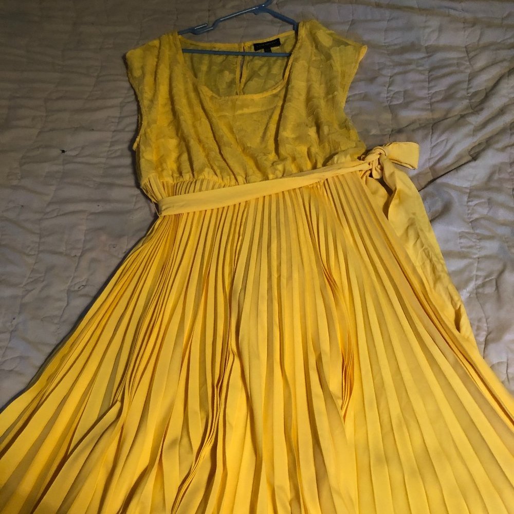 Lane Bryant Dress